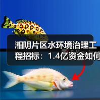 湘阴片区水环境治理工程招标:1.4亿资金如何推进生态修复?(图4) 湘阴片区水环境治理工程招标:1.4亿资金如何推进生态修复?(图4)