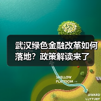 武汉绿色金融改革如何落地？政策解读来了（图2）