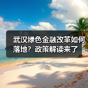 武汉绿色金融改革如何落地？政策解读来了（图3）
