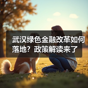 武汉绿色金融改革如何落地？政策解读来了（图4）