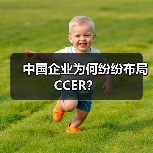 中国企业为何纷纷布局CCER?(图2) 中国企业为何纷纷布局CCER?(图2)