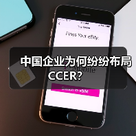 中国企业为何纷纷布局CCER?(图4) 中国企业为何纷纷布局CCER?(图4)