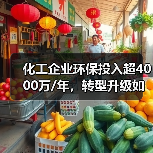 化工企业环保投入超4000万/年,转型升级如何破局?(图2) 化工企业环保投入超4000万/年,转型升级如何破局?(图2)