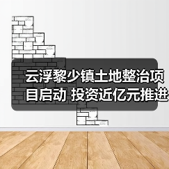云浮黎少镇土地整治项目启动 投资近亿元推进乡村振兴(图2) 云浮黎少镇土地整治项目启动 投资近亿元推进乡村振兴(图2)