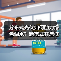 分布式光伏如何助力绿色调水？新范式开启低碳新篇章（图2）