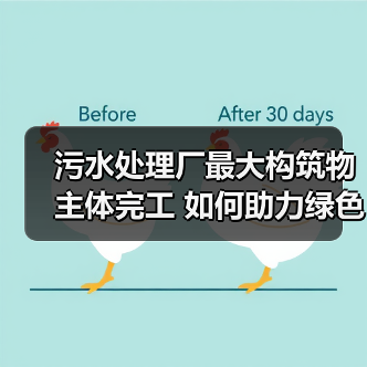 污水处理厂最大构筑物主体完工 如何助力绿色低碳发展(图2) 污水处理厂最大构筑物主体完工 如何助力绿色低碳发展(图2)