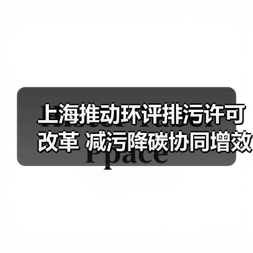 上海推动环评排污许可改革 减污降碳协同增效如何实现?(图2) 上海推动环评排污许可改革 减污降碳协同增效如何实现?(图2)