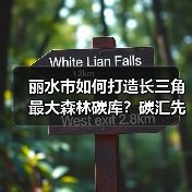 丽水市如何打造长三角最大森林碳库？碳汇先行示范区建设全解析