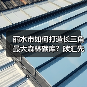 丽水市如何打造长三角最大森林碳库?碳汇先行示范区建设全解析(图4) 丽水市如何打造长三角最大森林碳库?碳汇先行示范区建设全解析(图4)