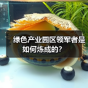 绿色产业园区领军者是如何炼成的?(图4) 绿色产业园区领军者是如何炼成的?(图4)