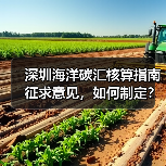 深圳海洋碳汇核算指南征求意见，如何制定？