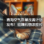 青海空气质量改善计划发布！细颗粒物浓度控制目标引关注（图1）