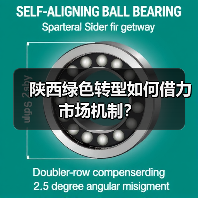 陕西绿色转型如何借力市场机制?(图4) 陕西绿色转型如何借力市场机制?(图4)