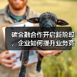 碳金融合作开启新阶段,企业如何提升业务竞争力?(图1) 碳金融合作开启新阶段,企业如何提升业务竞争力?(图1)