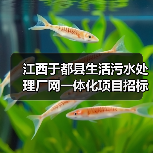 江西于都县生活污水处理厂网一体化项目招标，总投资达9047.82万（图1）