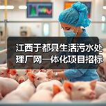 江西于都县生活污水处理厂网一体化项目招标，总投资达9047.82万（图4）