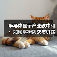 半导体显示产业碳中和:如何平衡挑战与机遇?(图3) 半导体显示产业碳中和:如何平衡挑战与机遇?(图3)