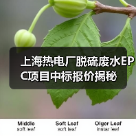 上海热电厂脱硫废水EPC项目中标报价揭秘(图1) 上海热电厂脱硫废水EPC项目中标报价揭秘(图1)