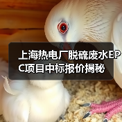 上海热电厂脱硫废水EPC项目中标报价揭秘(图3) 上海热电厂脱硫废水EPC项目中标报价揭秘(图3)