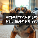 中国温室气体浓度持续攀升，监测体系如何支撑双碳目标（图2）