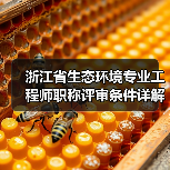 浙江省生态环境专业工程师职称评审条件详解(图4) 浙江省生态环境专业工程师职称评审条件详解(图4)