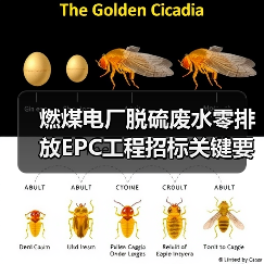 燃煤电厂脱硫废水零排放EPC工程招标关键要素解析(图1) 燃煤电厂脱硫废水零排放EPC工程招标关键要素解析(图1)