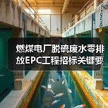 燃煤电厂脱硫废水零排放EPC工程招标关键要素解析(图2) 燃煤电厂脱硫废水零排放EPC工程招标关键要素解析(图2)