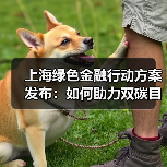 上海绿色金融行动方案发布:如何助力双碳目标?(图1) 上海绿色金融行动方案发布:如何助力双碳目标?(图1)