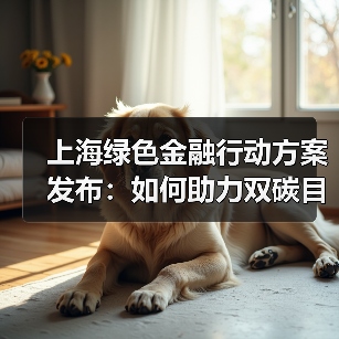 上海绿色金融行动方案发布:如何助力双碳目标?(图4) 上海绿色金融行动方案发布:如何助力双碳目标?(图4)