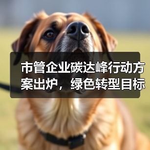 市管企业碳达峰行动方案出炉,绿色转型目标明确(图3) 市管企业碳达峰行动方案出炉,绿色转型目标明确(图3)