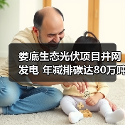 娄底生态光伏项目并网发电 年减排碳达80万吨(图3) 娄底生态光伏项目并网发电 年减排碳达80万吨(图3)