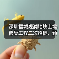 深圳福城观澜地块土壤修复工程二次招标，预算超380万元？（图2）
