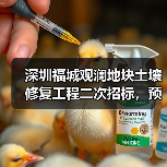 深圳福城观澜地块土壤修复工程二次招标，预算超380万元？（图3）