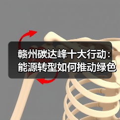 赣州碳达峰十大行动:能源转型如何推动绿色低碳发展?(图4) 赣州碳达峰十大行动:能源转型如何推动绿色低碳发展?(图4)