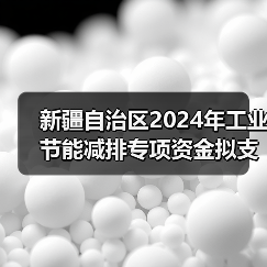 新疆自治区2024年工业节能减排专项资金拟支持项目公示（第二批）（图4）