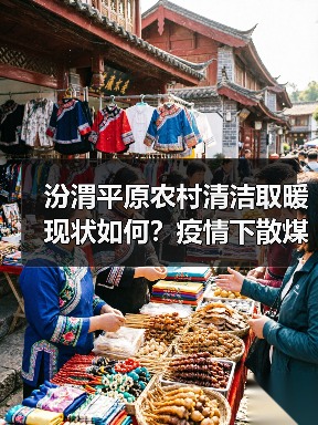 汾渭平原农村清洁取暖现状如何?疫情下散煤复烧风险仍存(图2) 汾渭平原农村清洁取暖现状如何?疫情下散煤复烧风险仍存(图2)