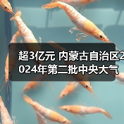 超3亿元 内蒙古自治区2024年第二批中央大气污染防治资金拟支持项目公示(图3) 超3亿元 内蒙古自治区2024年第二批中央大气污染防治资金拟支持项目公示(图3)