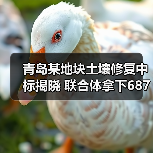 青岛某地块土壤修复中标揭晓 联合体拿下687万大单（图1）