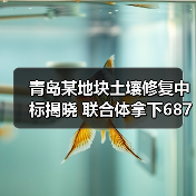 青岛某地块土壤修复中标揭晓 联合体拿下687万大单（图2）