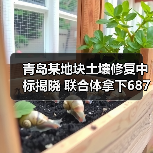 青岛某地块土壤修复中标揭晓 联合体拿下687万大单（图3）