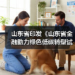 山东省印发《山东省金融助力绿色低碳转型试点方案》(图3) 山东省印发《山东省金融助力绿色低碳转型试点方案》(图3)