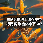 青岛某地块土壤修复中标揭晓 联合体拿下687万大单（图4）