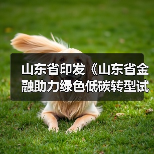 山东省印发《山东省金融助力绿色低碳转型试点方案》(图4) 山东省印发《山东省金融助力绿色低碳转型试点方案》(图4)