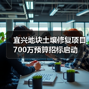 宜兴地块土壤修复项目700万预算招标启动（图2）