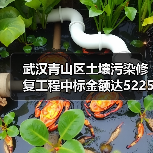 武汉青山区土壤污染修复工程中标金额达5225万元（图1）