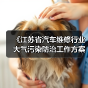 《江苏省汽车维修行业大气污染防治工作方案》发布(图4) 《江苏省汽车维修行业大气污染防治工作方案》发布(图4)