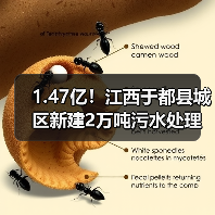 1.47亿！江西于都县城区新建2万吨污水处理设施及配套管网建设项目工程总承包招标（图2）