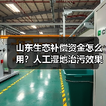 山东生态补偿资金怎么用?人工湿地治污效果如何?(图2) 山东生态补偿资金怎么用?人工湿地治污效果如何?(图2)