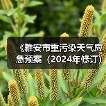 《雅安市重污染天气应急预案(2024年修订)》公开征求意见(图1) 《雅安市重污染天气应急预案(2024年修订)》公开征求意见(图1)