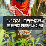 1.47亿！江西于都县城区新建2万吨污水处理设施及配套管网建设项目工程总承包招标（图4）